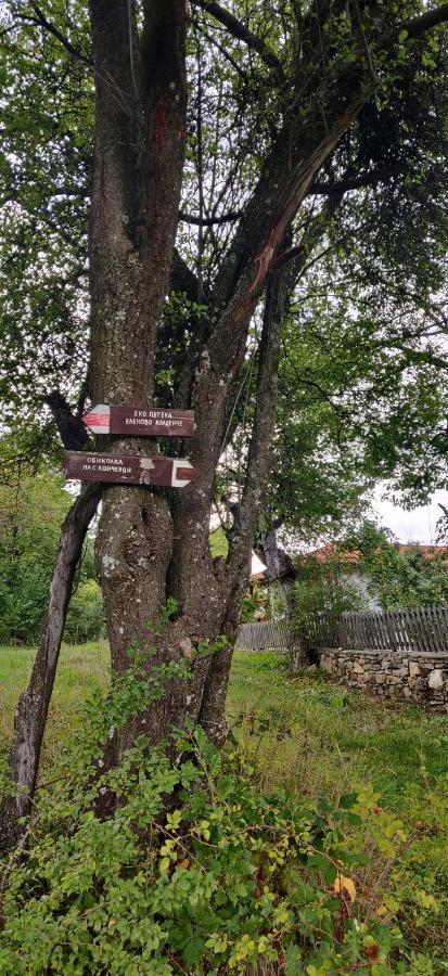 Старата Къща - Трявна Βίλα Εξωτερικό φωτογραφία